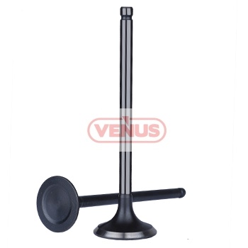 Engine_valve